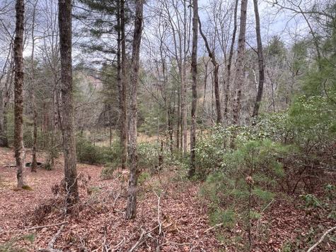 Lot 43 Seneca Drive Ellijay GA 30540
