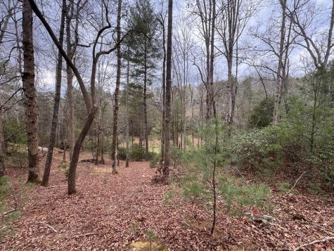 Lot 43 Seneca Drive Ellijay GA 30540