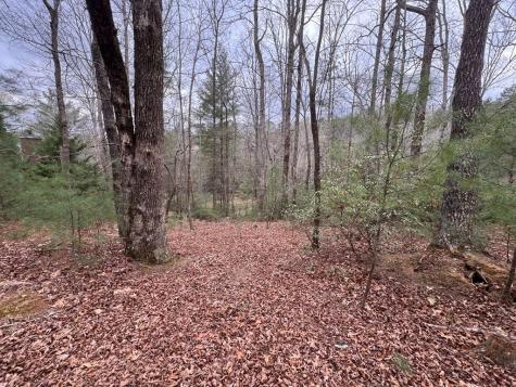 Lot 43 Seneca Drive Ellijay GA 30540