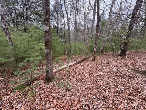 Lot 43 Seneca Drive Ellijay GA 30540