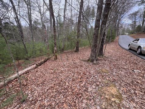 Lot 43 Seneca Drive Ellijay GA 30540
