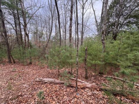 Lot 43 Seneca Drive Ellijay GA 30540