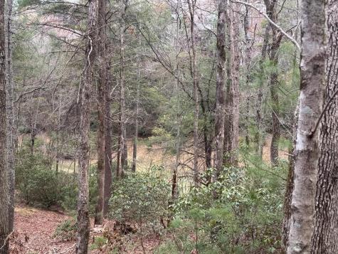 Lot 43 Seneca Drive Ellijay GA 30540