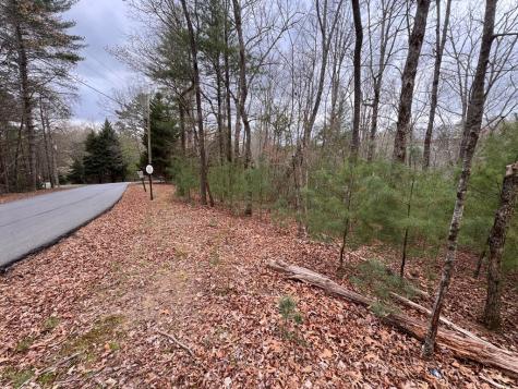 Lot 43 Seneca Drive Ellijay GA 30540