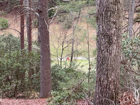 Lot 43 Seneca Drive Ellijay GA 30540