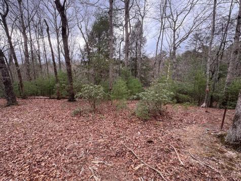 Lot 43 Seneca Drive Ellijay GA 30540