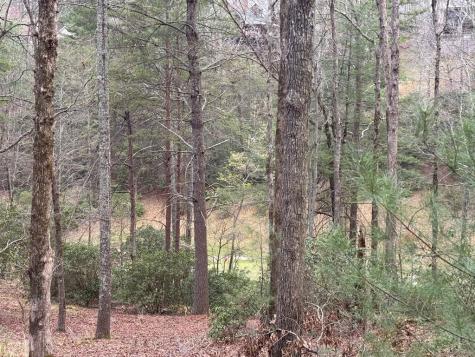 Lot 43 Seneca Drive Ellijay GA 30540