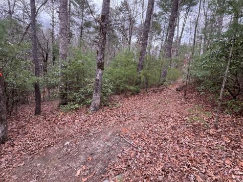Lot 43 Seneca Drive Ellijay GA 30540