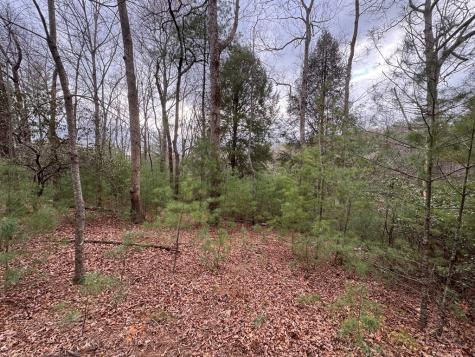 Lot 43 Seneca Drive Ellijay GA 30540