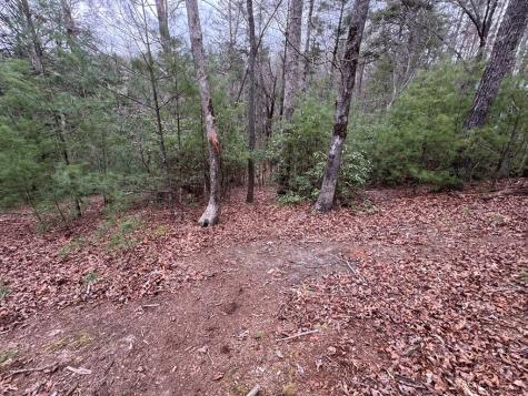 Lot 43 Seneca Drive Ellijay GA 30540