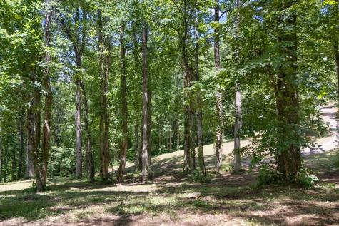 1 Lories Mountain Drive Hayesville NC 28904