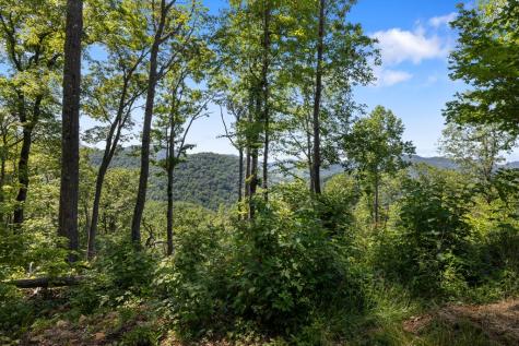 1 Lories Mountain Drive Hayesville NC 28904