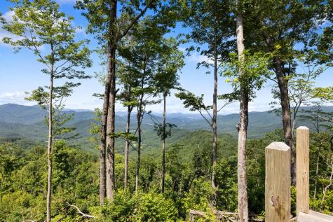 1 Lories Mountain Drive Hayesville NC 28904