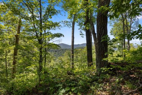 1 Lories Mountain Drive Hayesville NC 28904