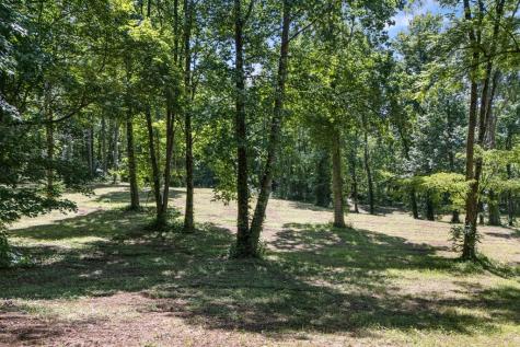 1 Lories Mountain Drive Hayesville NC 28904