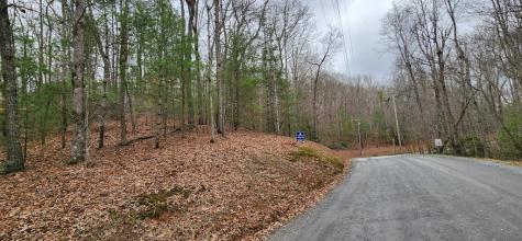Lot 13 Mangums Trail Blue Ridge GA 30513