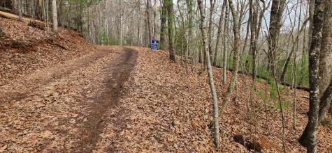 Lot 13 Mangums Trail Blue Ridge GA 30513