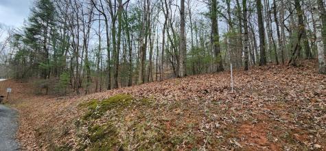 Lot 13 Mangums Trail Blue Ridge GA 30513