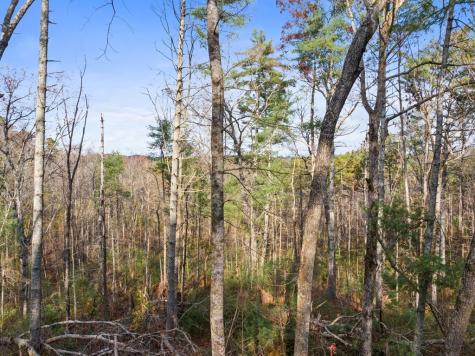 340 Morton Drive Ellijay GA 30540