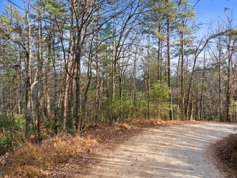 340 Morton Drive Ellijay GA 30540