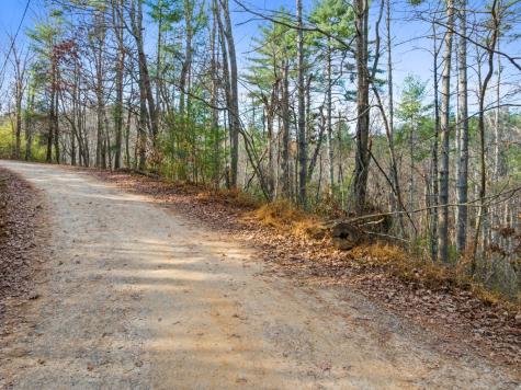 340 Morton Drive Ellijay GA 30540