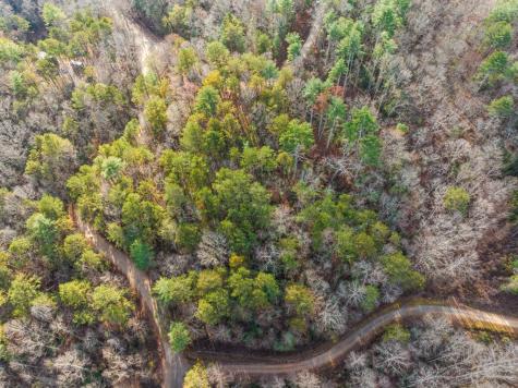 340 Morton Drive Ellijay GA 30540