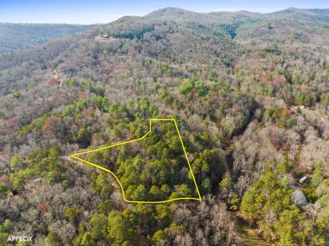 340 Morton Drive Ellijay GA 30540