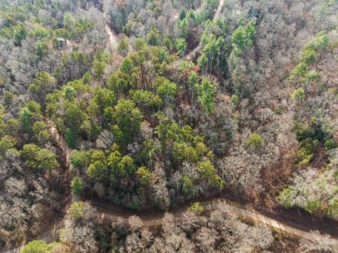 340 Morton Drive Ellijay GA 30540