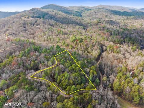 340 Morton Drive Ellijay GA 30540