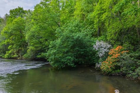 Lot 171 Shenendoa Drive Ellijay GA 30540