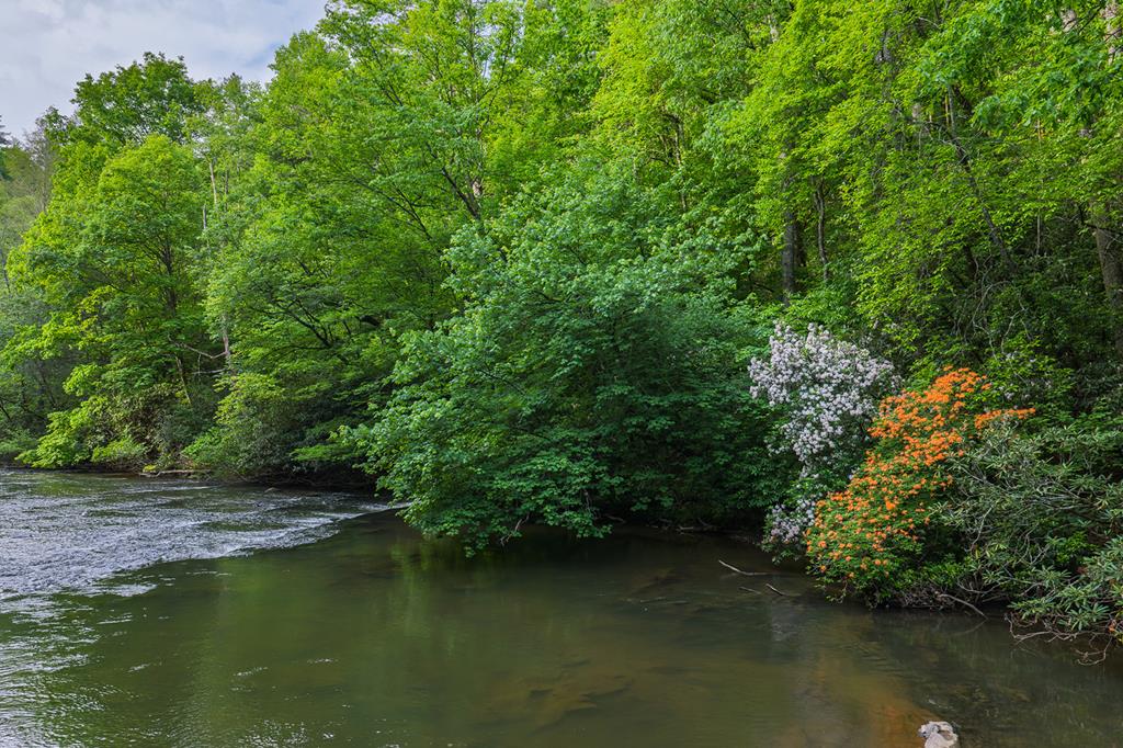Lot 171 Shenendoa Drive Ellijay GA 30540