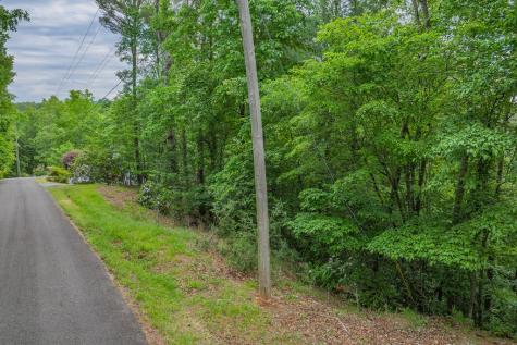 Lot 171 Shenendoa Drive Ellijay GA 30540