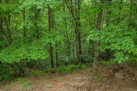 Lot 171 Shenendoa Drive Ellijay GA 30540