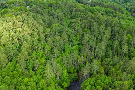 Lot 171 Shenendoa Drive Ellijay GA 30540