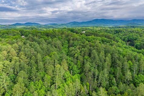 Lot 171 Shenendoa Drive Ellijay GA 30540