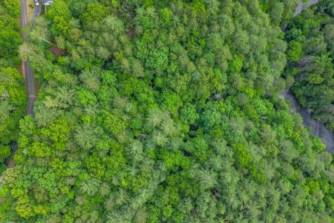 Lot 171 Shenendoa Drive Ellijay GA 30540