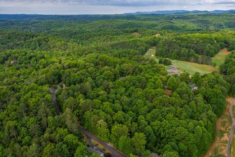 Lot 171 Shenendoa Drive Ellijay GA 30540