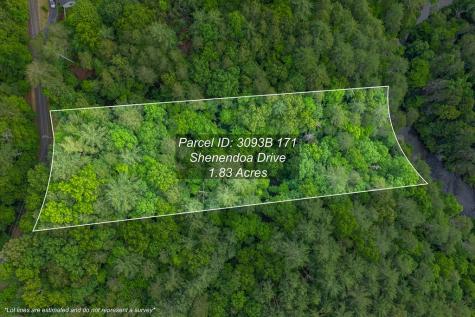 Lot 171 Shenendoa Drive Ellijay GA 30540