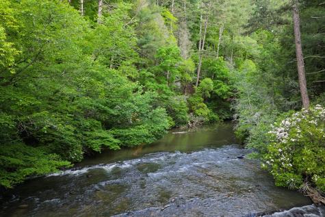 Lot 171 Shenendoa Drive Ellijay GA 30540