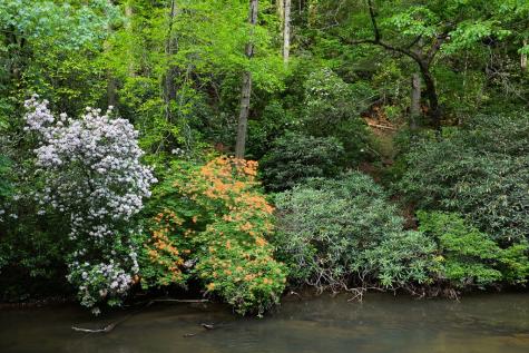 Lot 171 Shenendoa Drive Ellijay GA 30540
