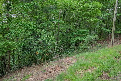 Lot 171 Shenendoa Drive Ellijay GA 30540