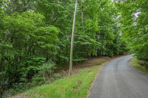 Lot 171 Shenendoa Drive Ellijay GA 30540