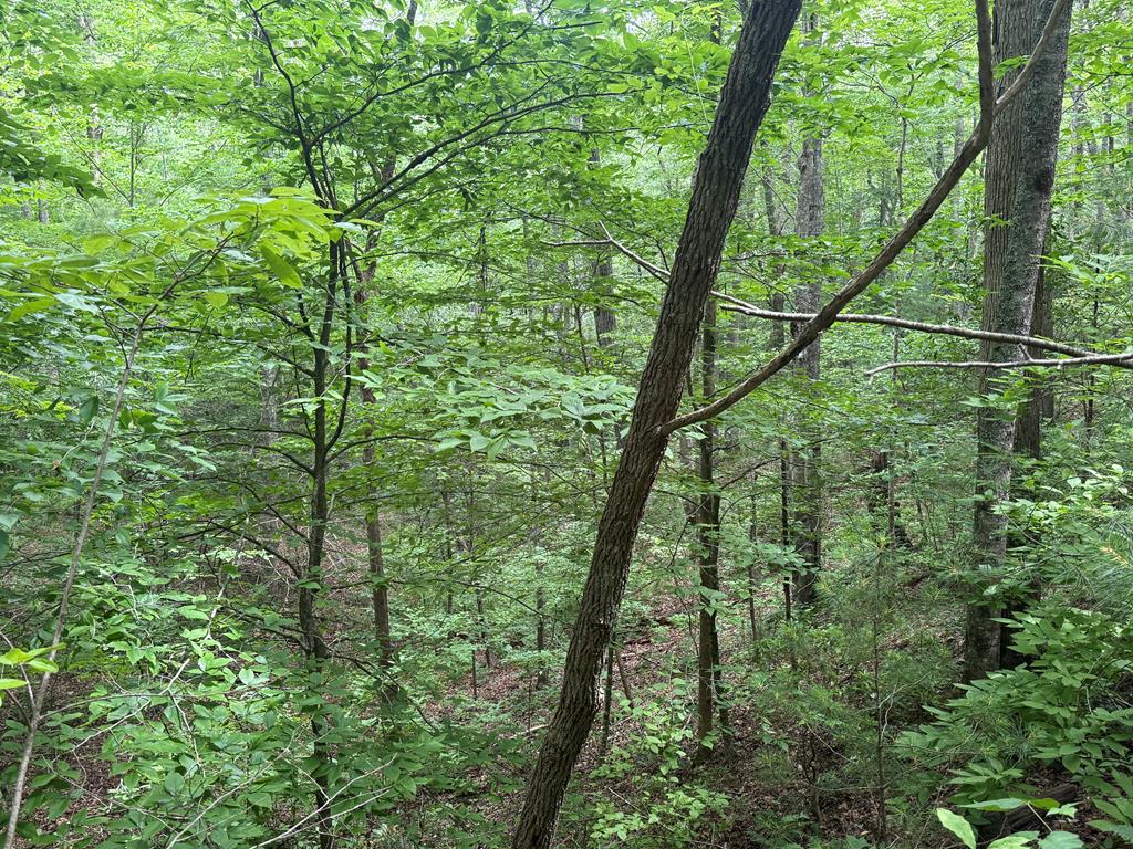 1 Ac Spiva Cove Circle Blairsville GA 30512