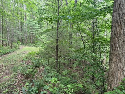 1 Ac Spiva Cove Circle Blairsville GA 30512