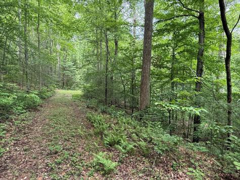 1 Ac Spiva Cove Circle Blairsville GA 30512