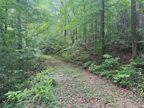 1 Ac Spiva Cove Circle Blairsville GA 30512