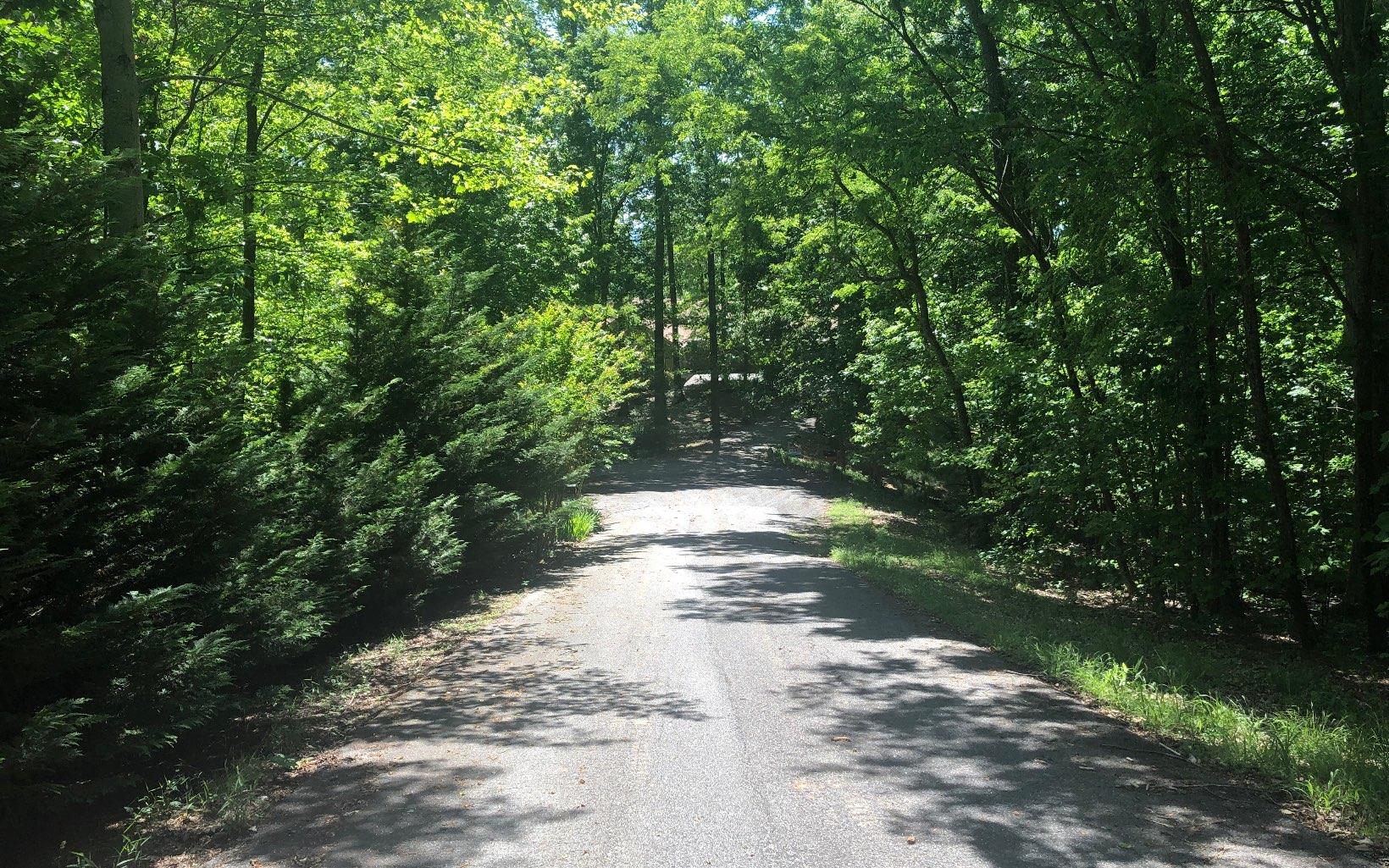 L 48c Byron Street Blairsville GA 30512