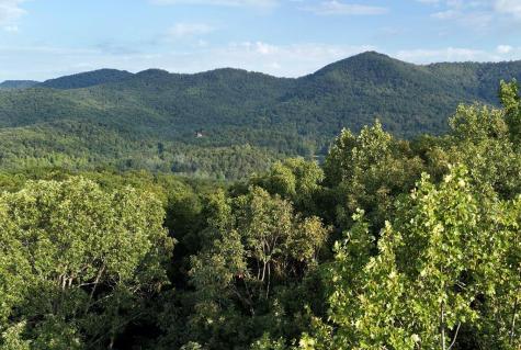 L 48c Byron Street Blairsville GA 30512