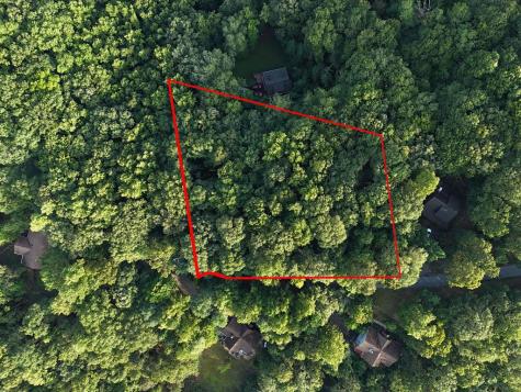 L 48c Byron Street Blairsville GA 30512