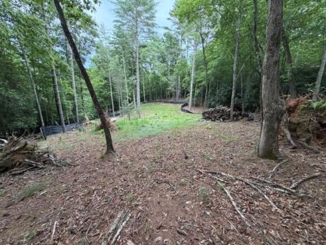 Lot 25 Bentwood Trail Morganton GA 30560